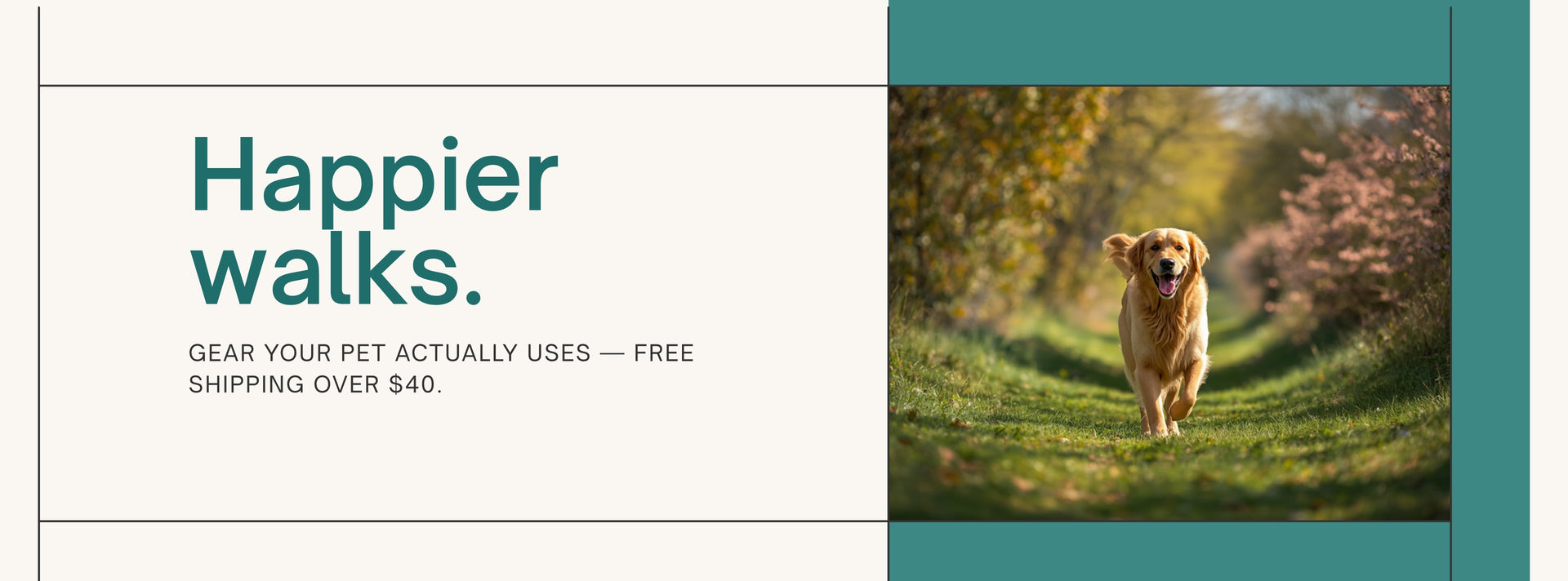FlawlessVibes hero banner desktop 4K - Happier walks. Comfier naps.